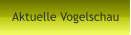Aktuelle Vogelschau